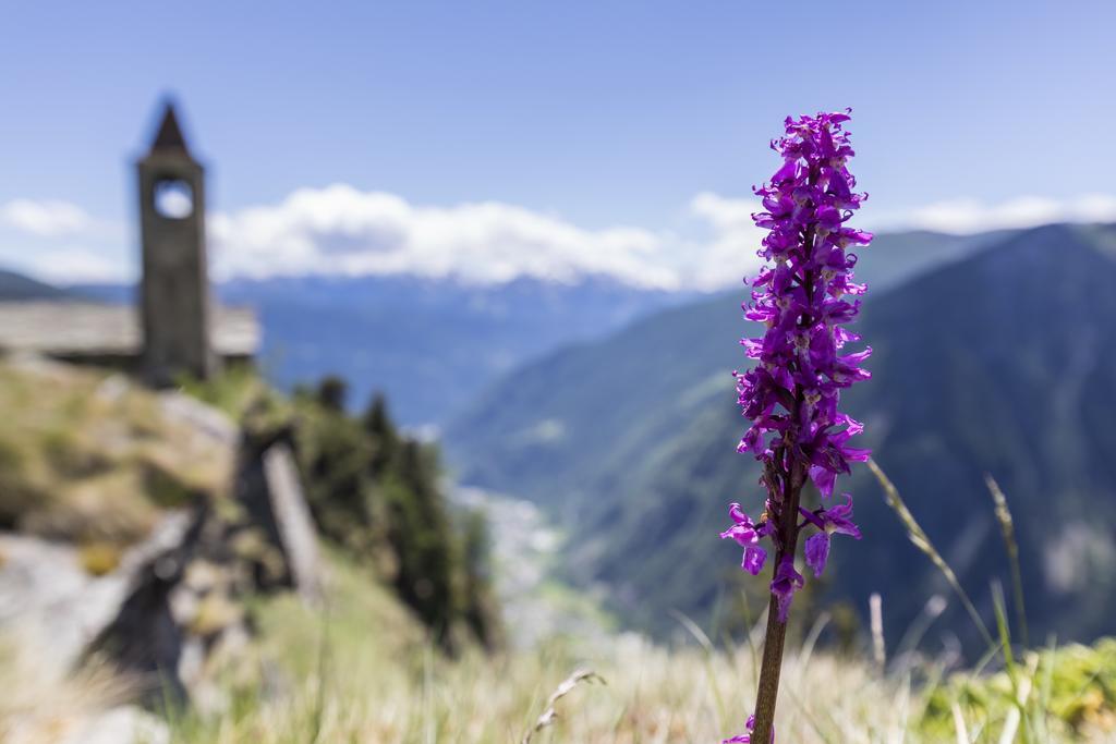Alloggio per agriturismo Rifugio Alpe San Romerio Brusio